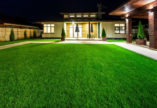 Should I choose artificial grass?